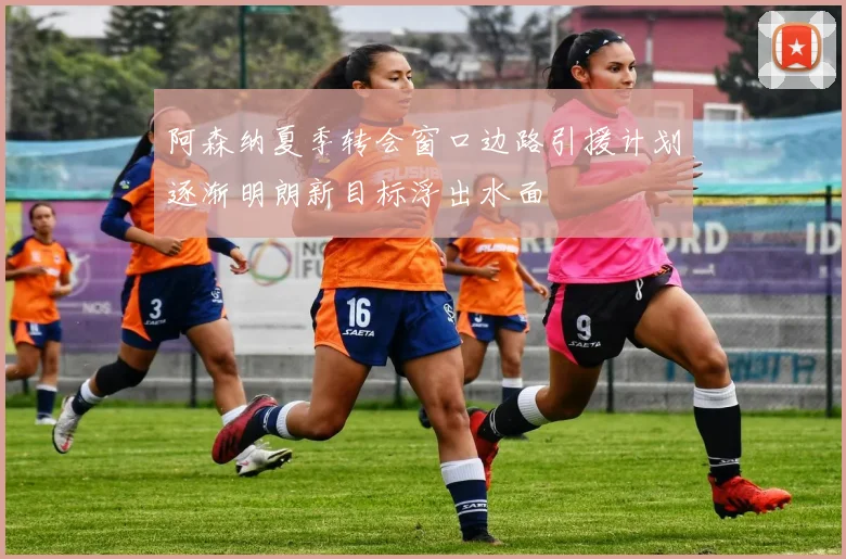 阿森纳夏季转会窗口边路引援计划逐渐明朗新目标浮出水面