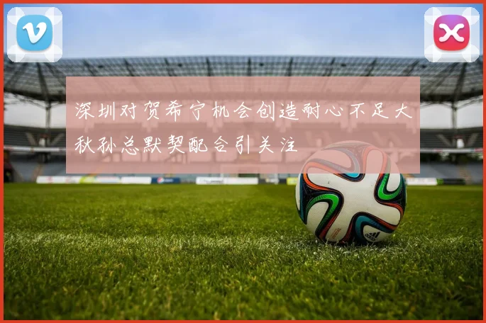 深圳对贺希宁机会创造耐心不足大秋孙总默契配合引关注