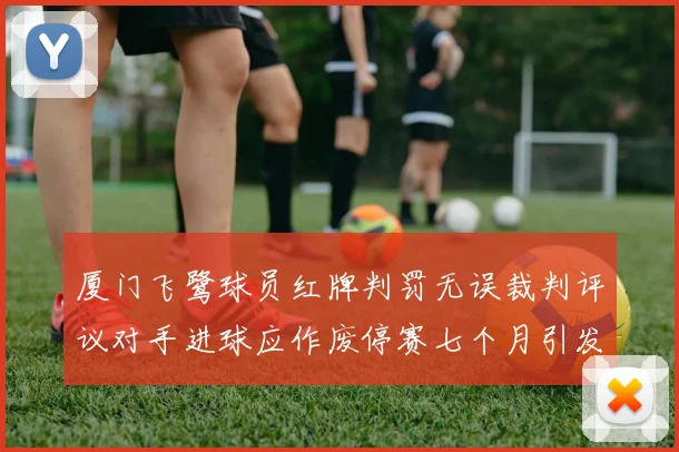 厦门飞鹭球员红牌判罚无误裁判评议对手进球应作废停赛七个月引发热议